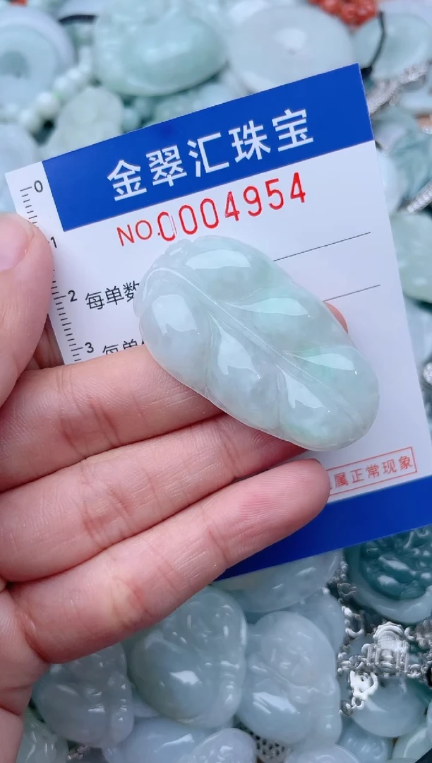 翡翠未镶嵌颈饰4954
