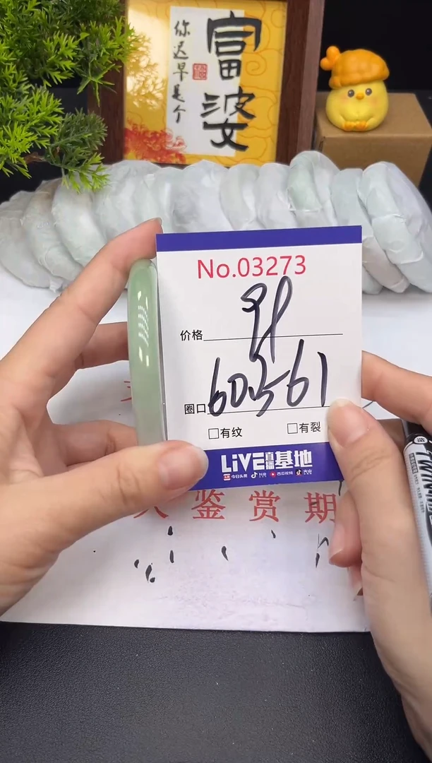 未镶嵌手镯翡翠3273