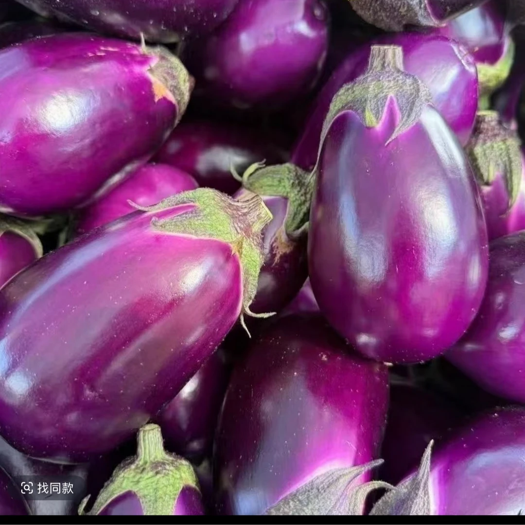 贵州高山农家自种新鲜现摘紫茄子泡沫箱加冰发货蔬菜新鲜蔬菜