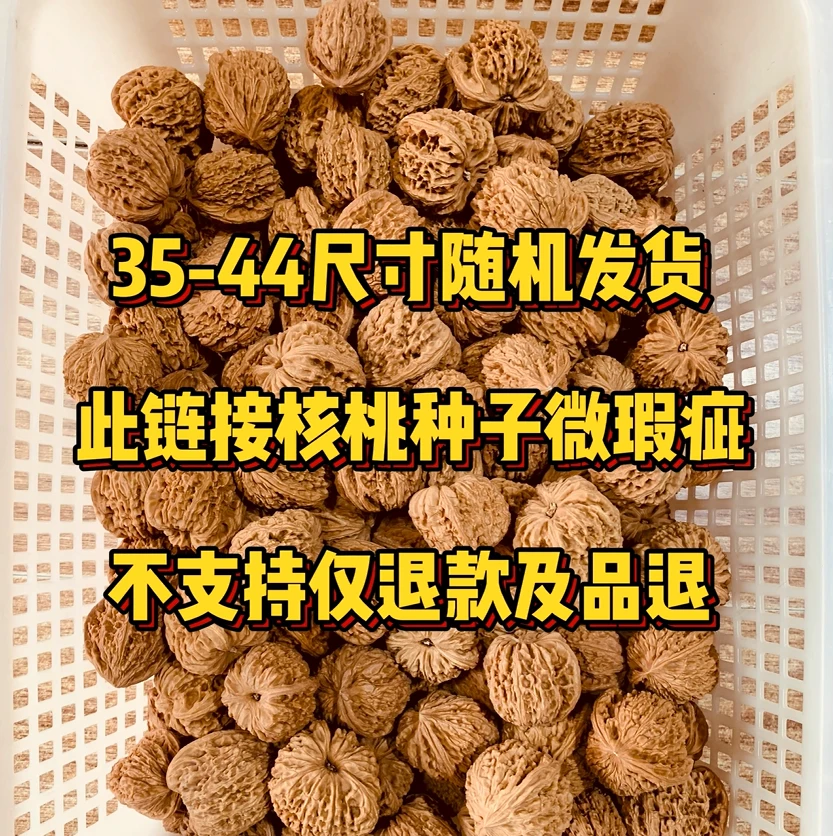 麻核桃南疆石散货单只种植用天然树种子几乎都有花皮黄尖等瑕疵