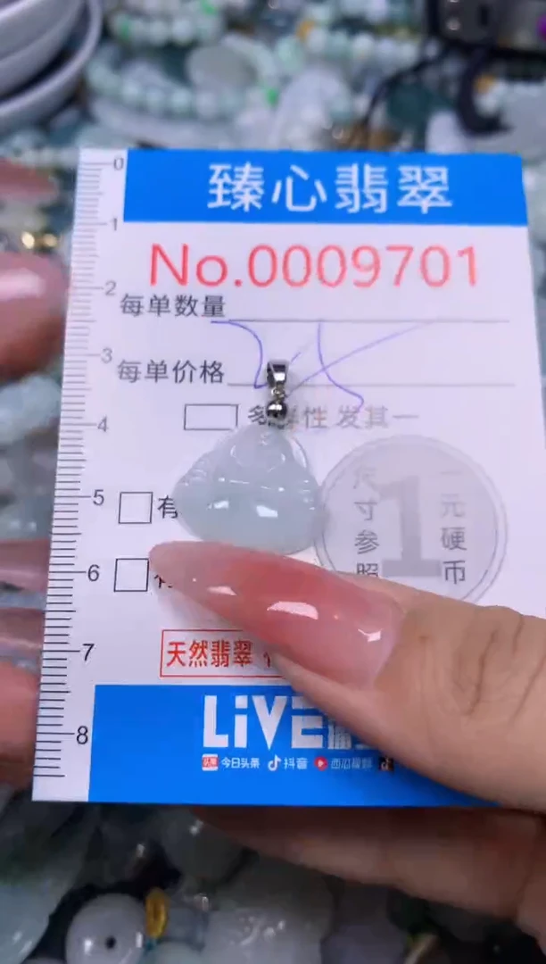 【闪购商品】翡翠颈饰未镶嵌含绳0009701