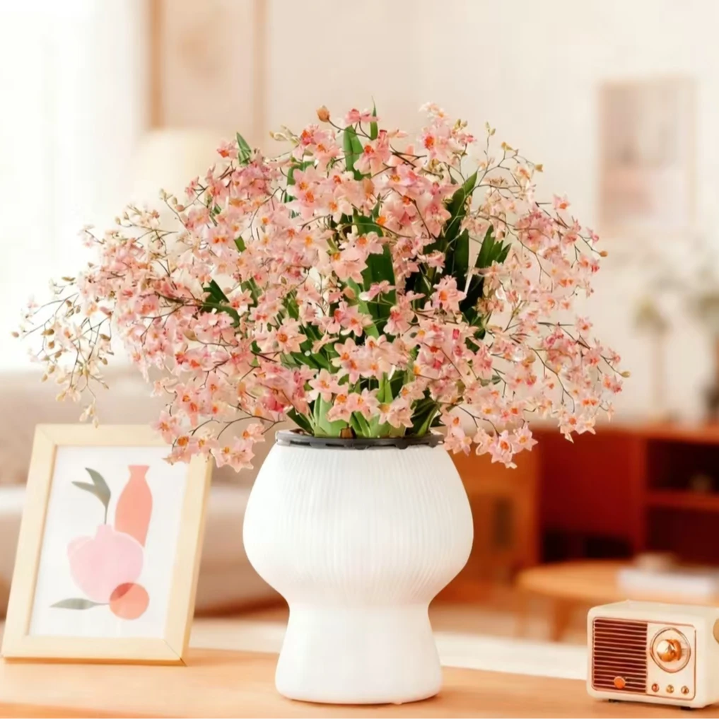 7-10支花剑梦香文心兰浓香型带精致蘑菇盆发货