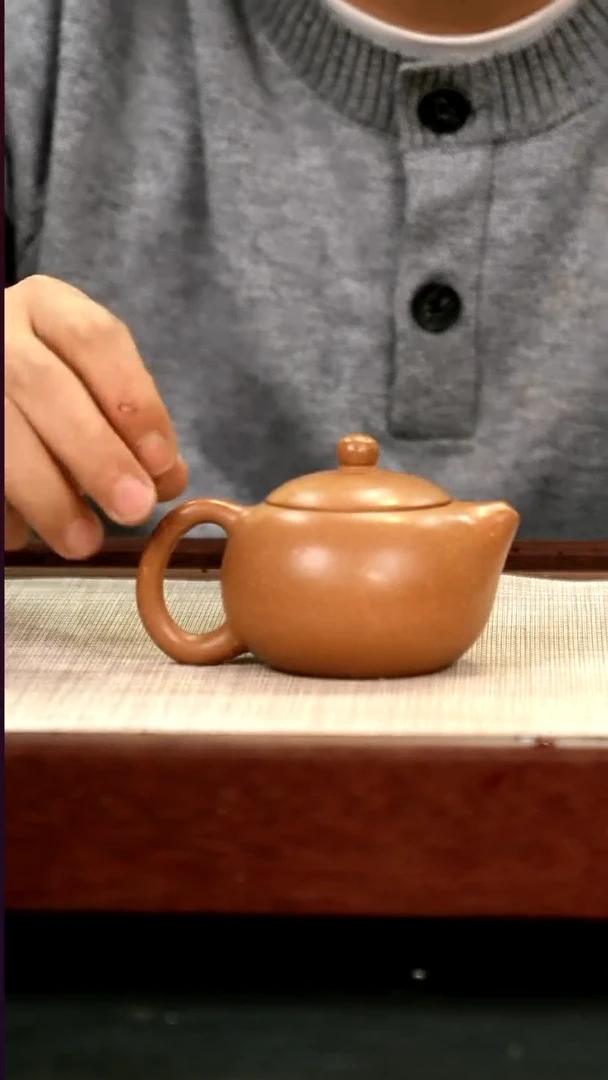 茶壶紫砂lzx沉香段西施