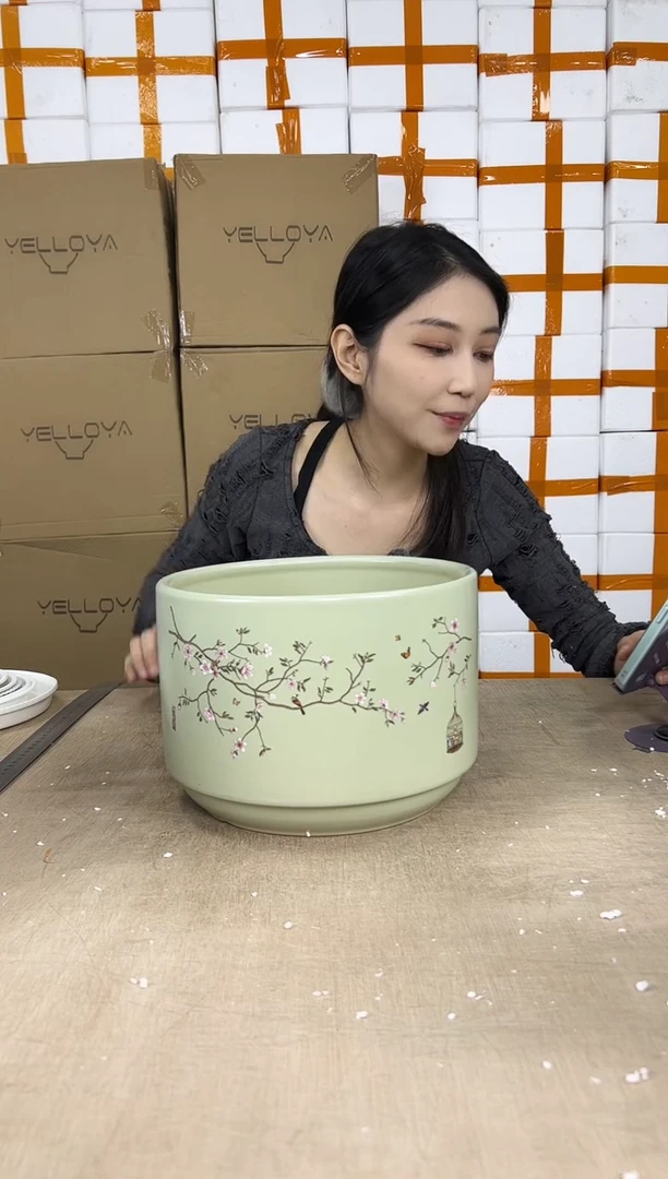 蝴蝶兰鸟笼绿色大号25x18