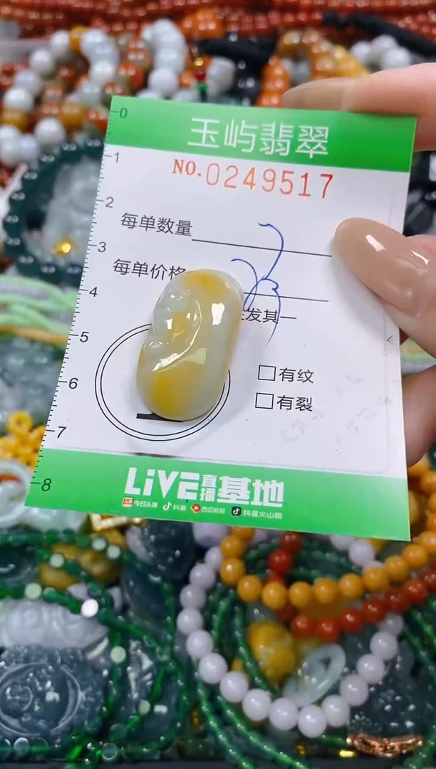 颈饰未镶嵌翡翠闪购0249517