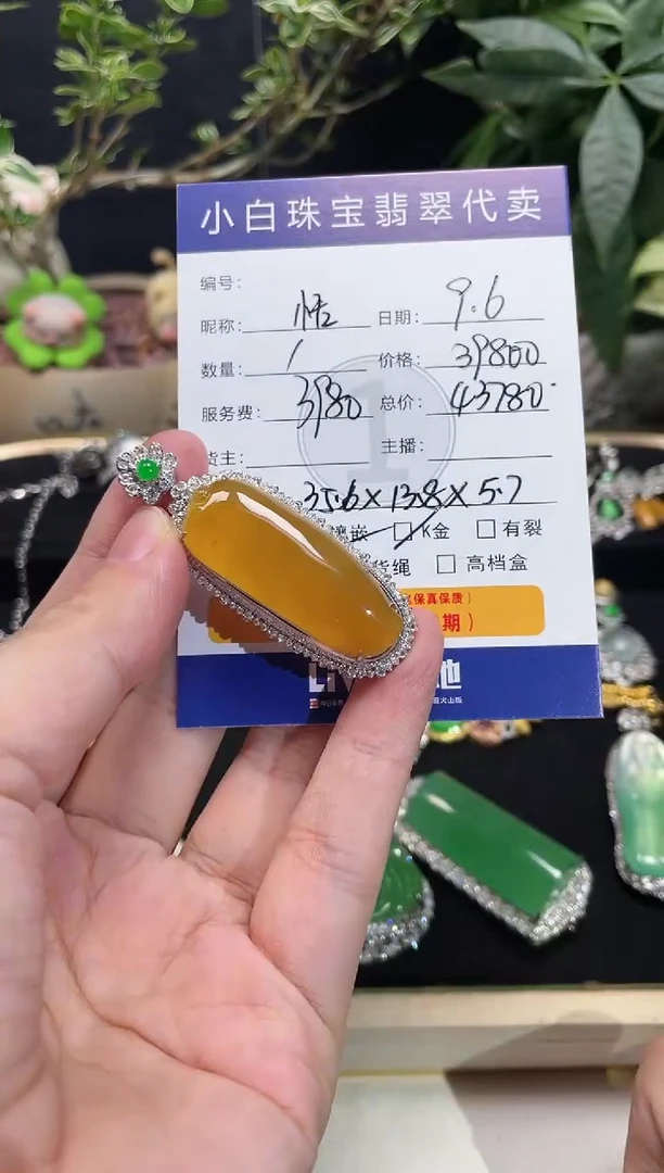 吊坠(不含链)18K金镶嵌翡翠恬*吊坠