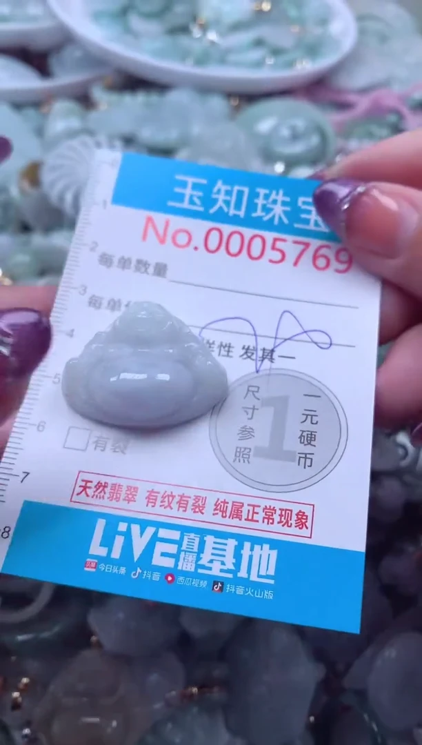 翡翠未镶嵌吊坠(不含链)5769