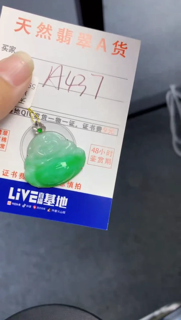 颈饰18K金镶嵌翡翠天然缅甸A货翡翠百元以上9元证书费自理