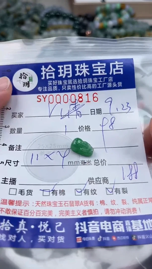 颈饰未镶嵌翡翠ⅵ***韵翡翠挂件貔貅816