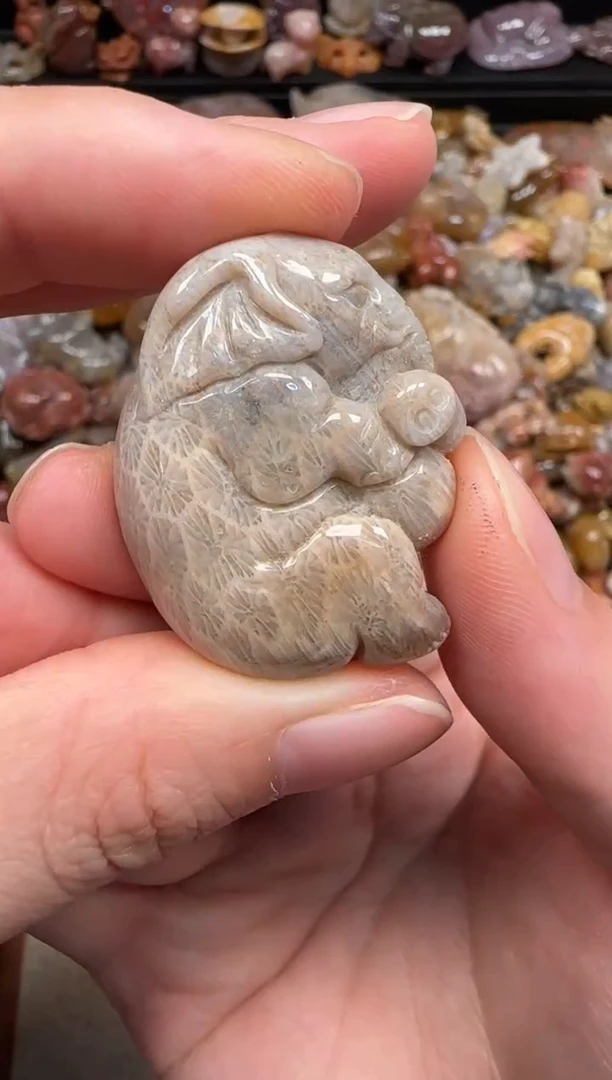 硅化珊瑚（珊瑚玉）未镶嵌颈饰653