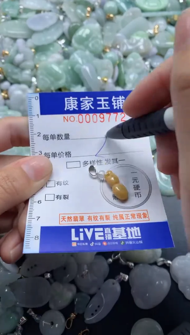 颈饰未镶嵌翡翠9772