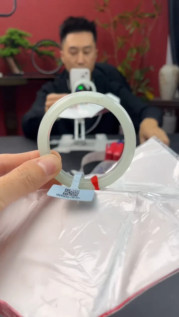 未镶嵌手镯翡翠5