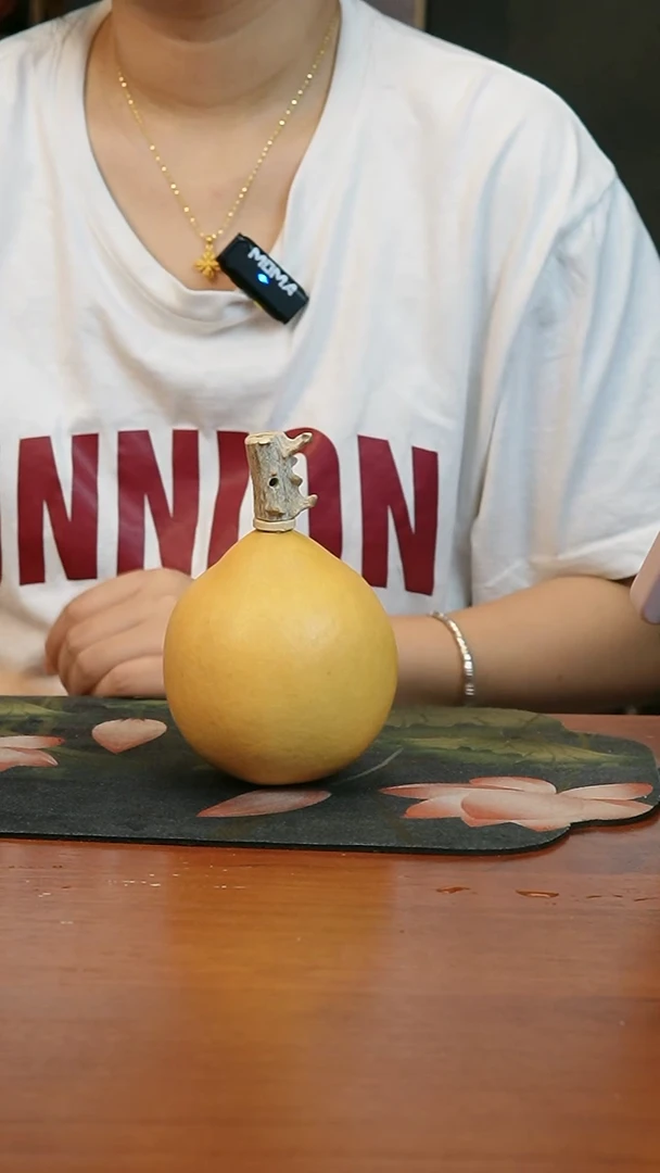 热水酒葫芦 一物一拍908