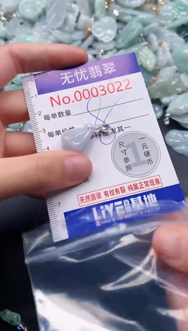 吊坠(不含链)未镶嵌翡翠3022