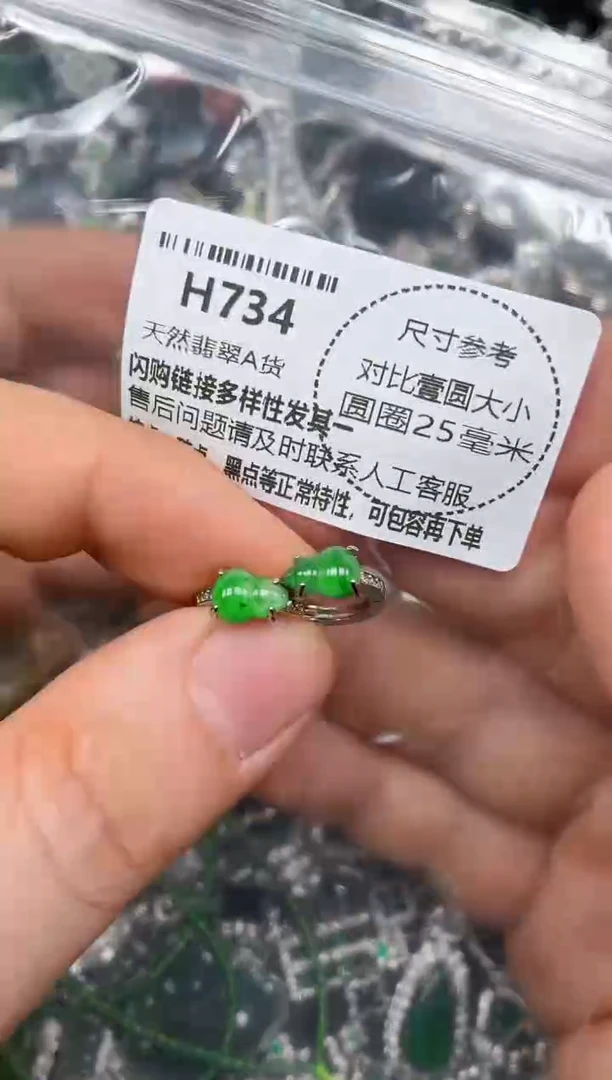 颈饰未镶嵌翡翠H734耳扣