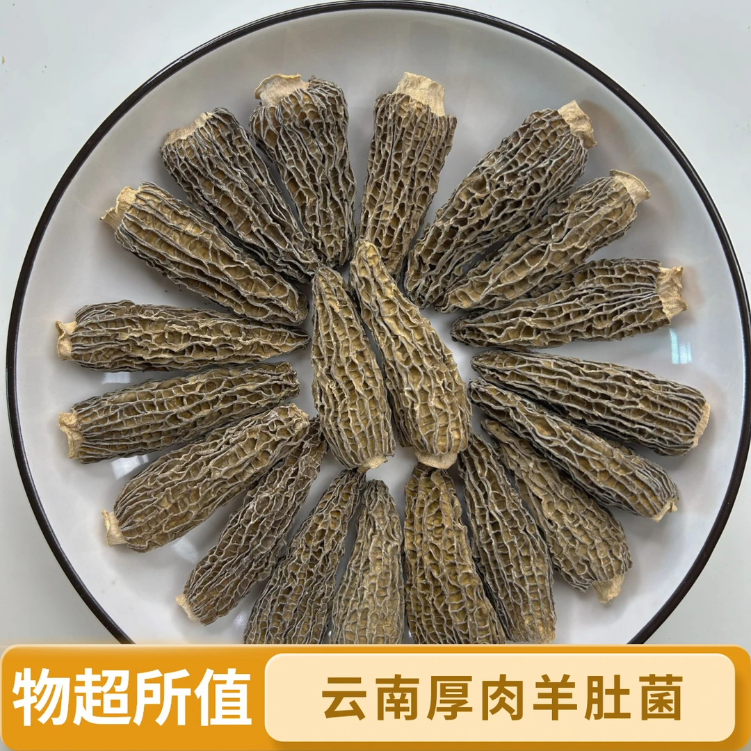 云南厚肉短柄羊肚菌无硫无添加特鲜新货煲汤干货食材