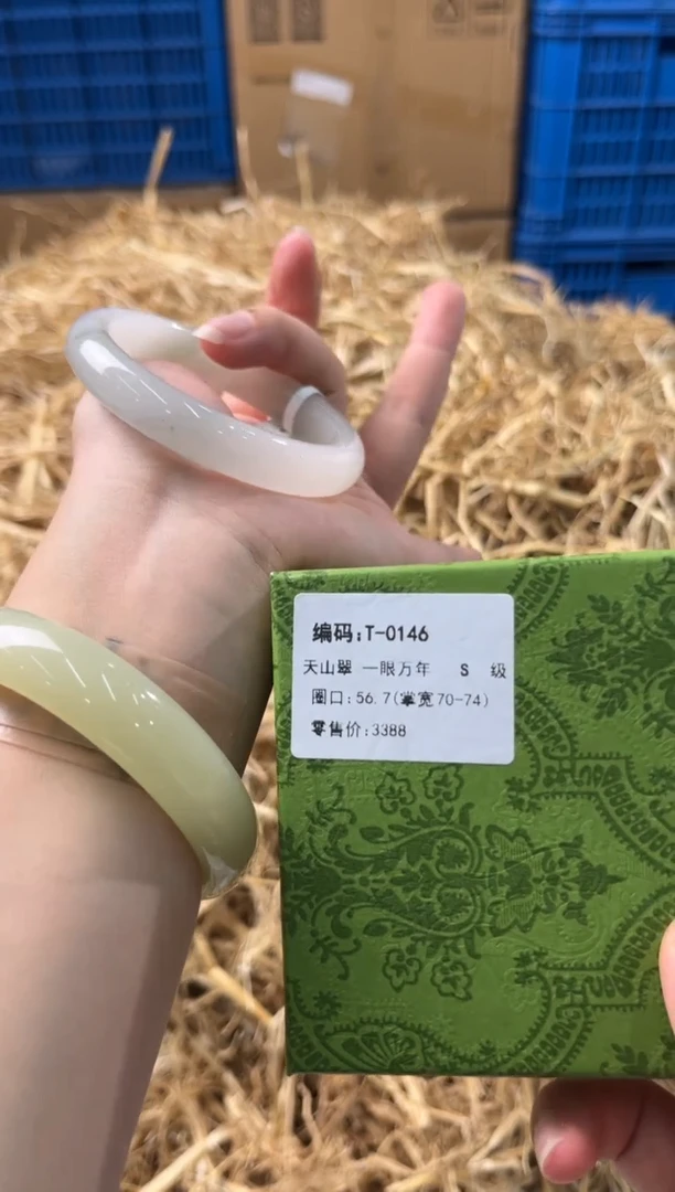 未镶嵌手镯石英质玉T0146