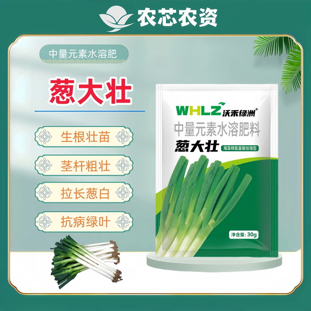 葱大壮水溶叶面肥生根壮苗干尖叶黄改善品质增产拉长种大葱专用