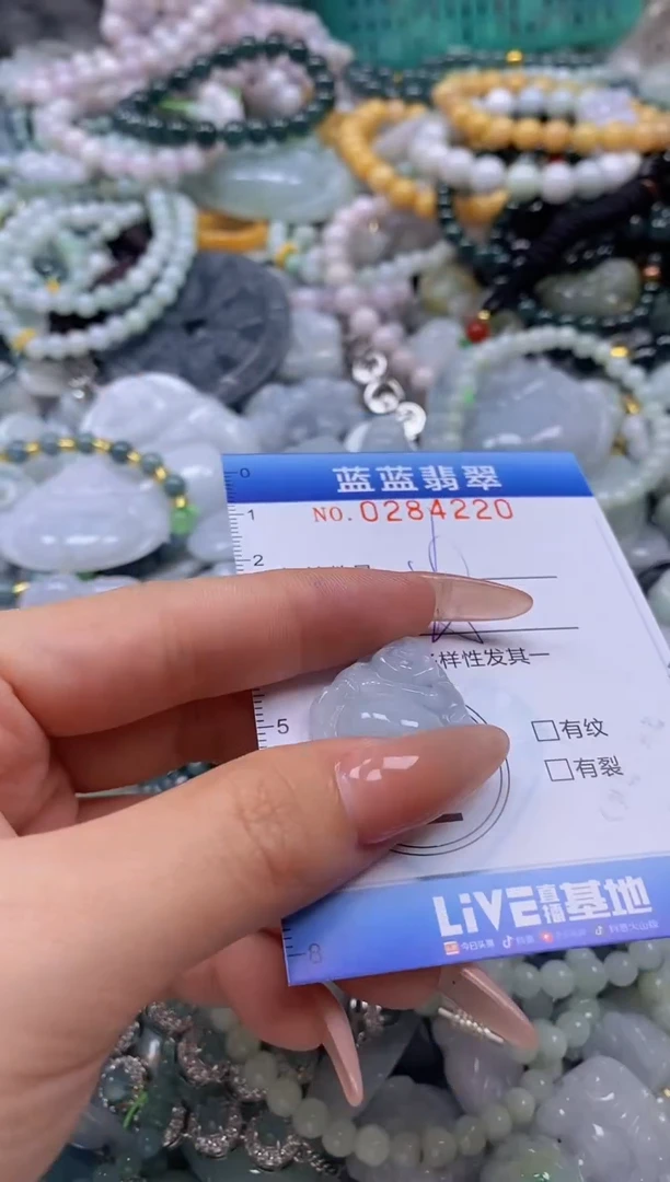 翡翠未镶嵌颈饰闪购0284220