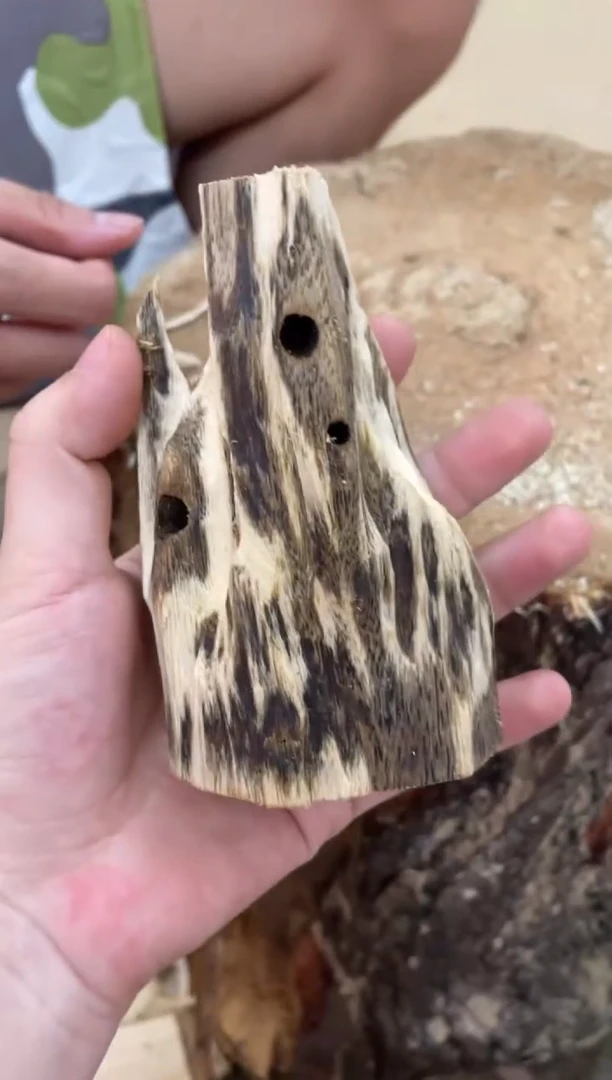 沉香沉香碎屑棋楠沉香 原料文创1