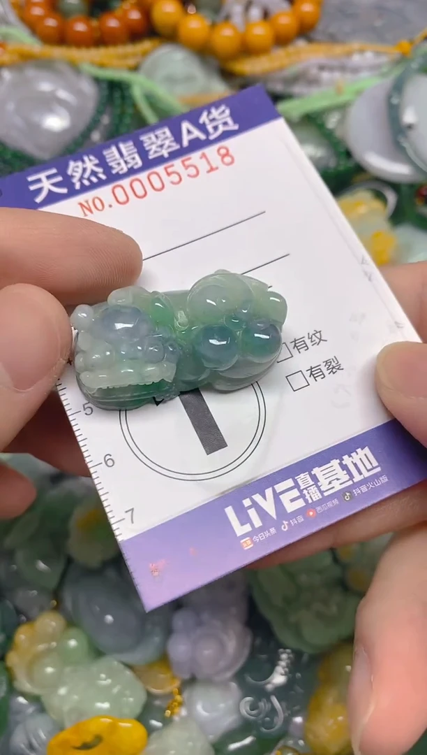 颈饰未镶嵌翡翠0005518