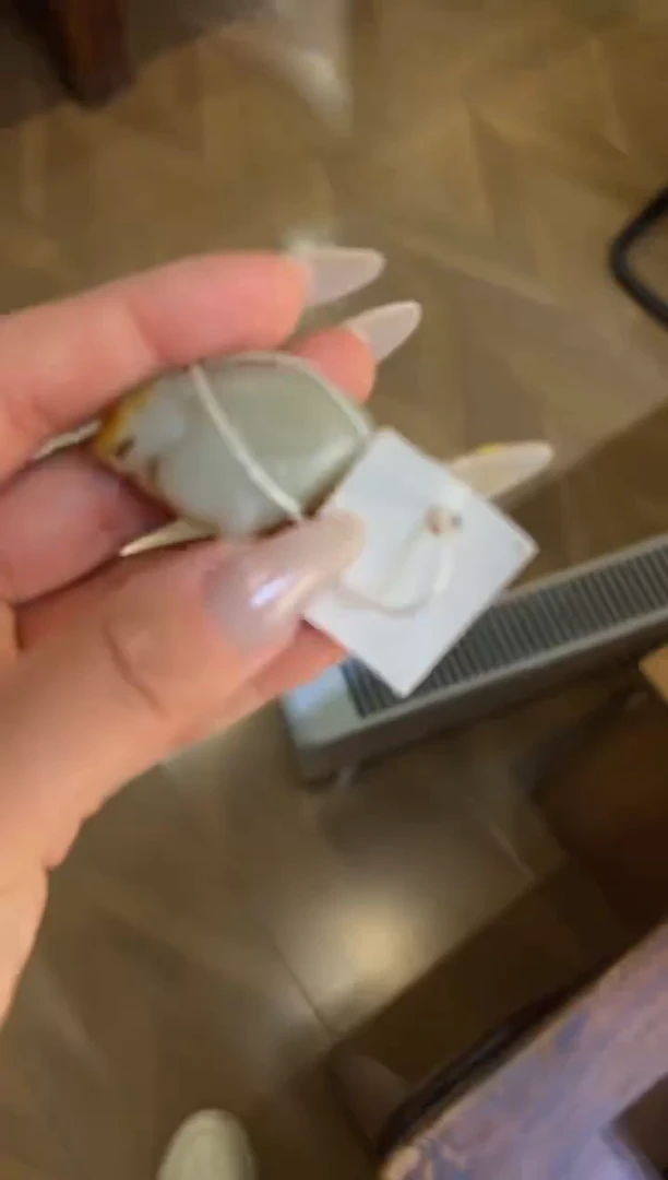 金京***童玉8888888888888