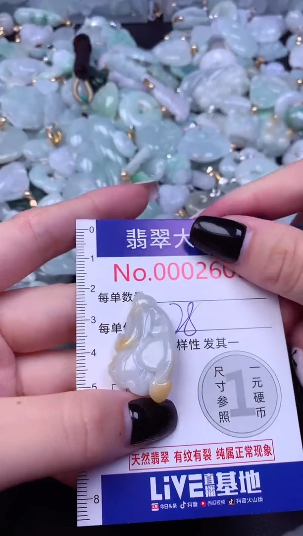 颈饰未镶嵌翡翠2605