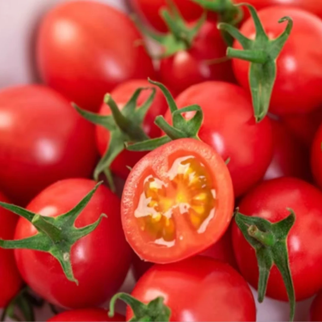 【新发地】正宗广东电白千禧小番茄2斤精美礼盒装爆汁超甜圣女果