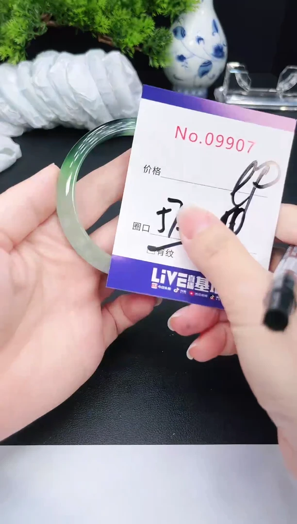 未镶嵌手镯翡翠9907