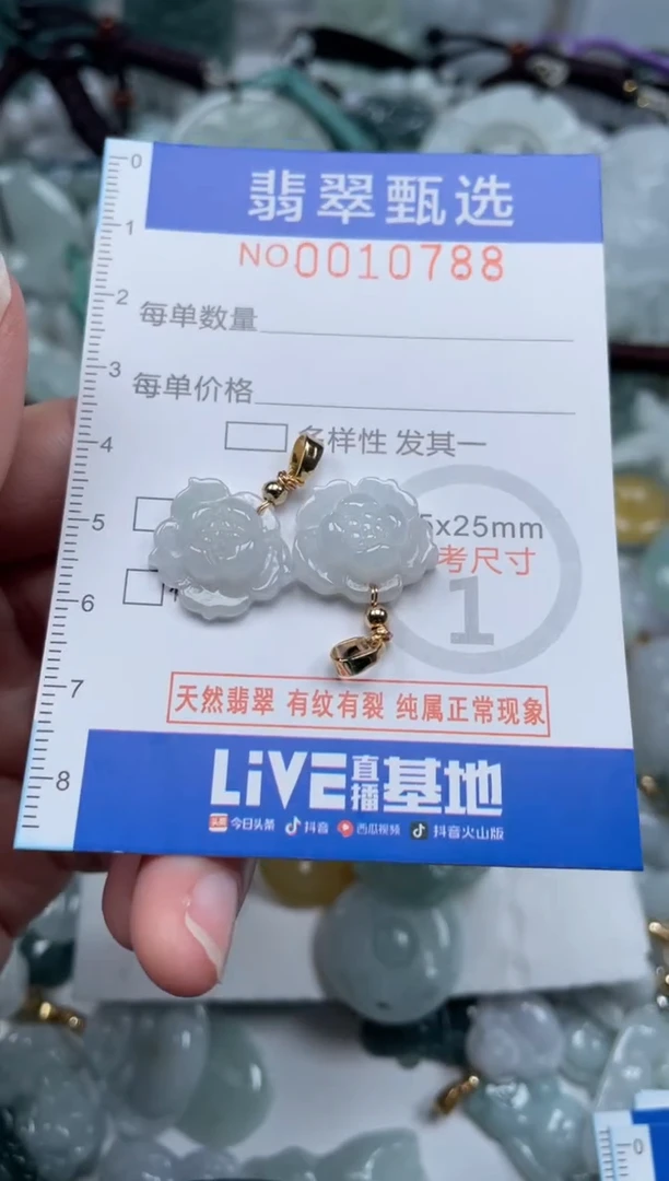 颈饰未镶嵌翡翠10788