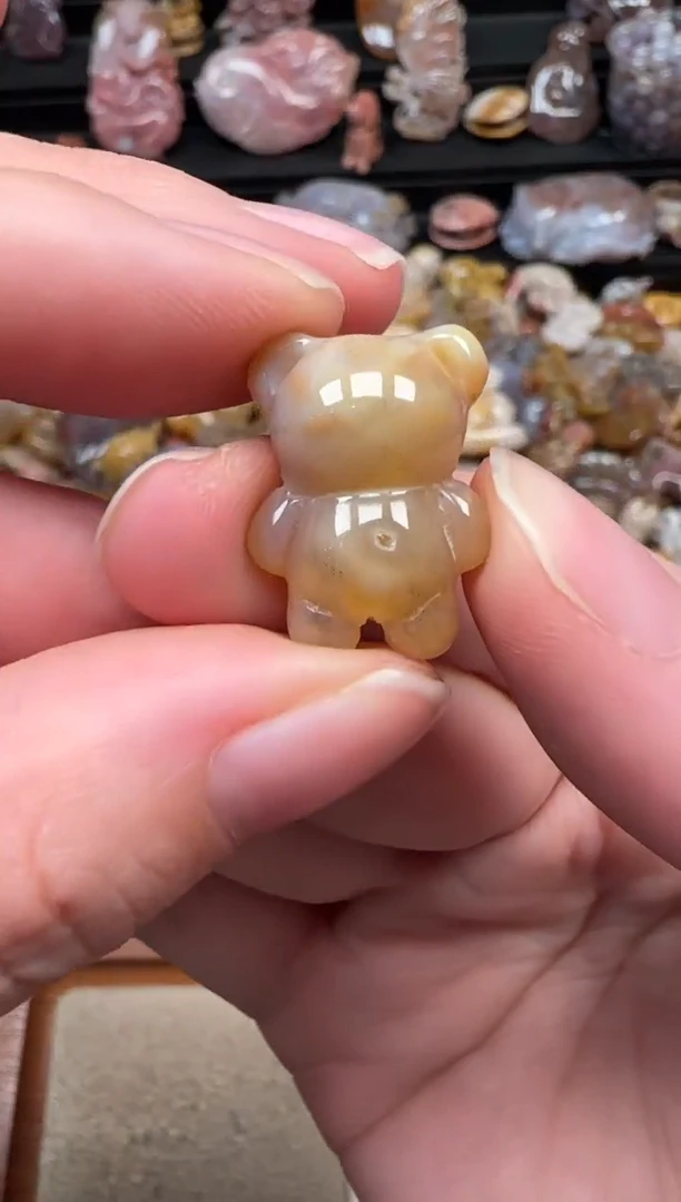 颈饰未镶嵌硅化珊瑚（珊瑚玉）095