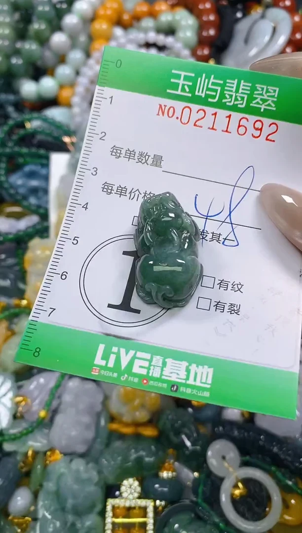 颈饰未镶嵌翡翠闪购0211692