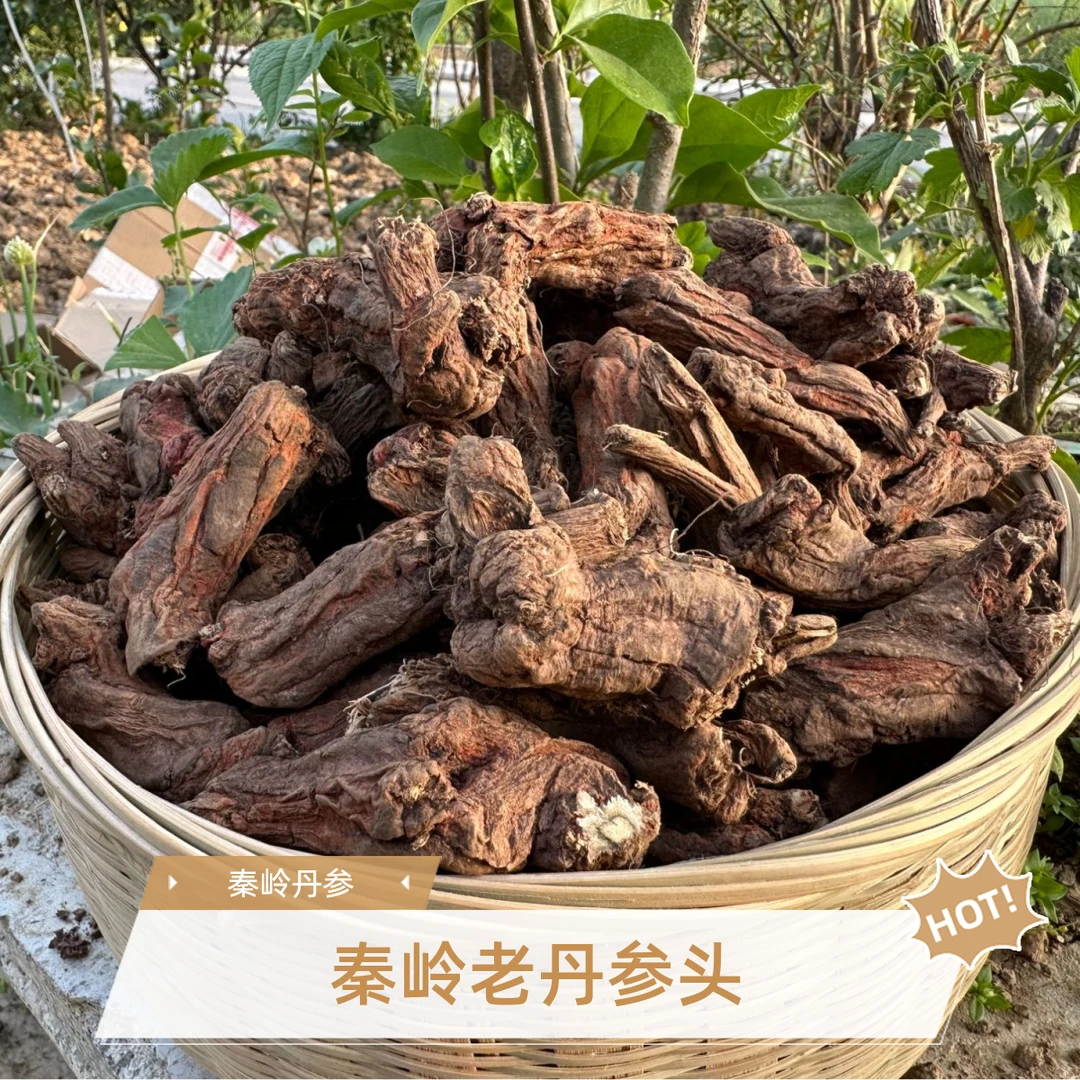 【助农代卖】现收秦岭深山老丹参头 中老年搭配川芎红藤=三通汤