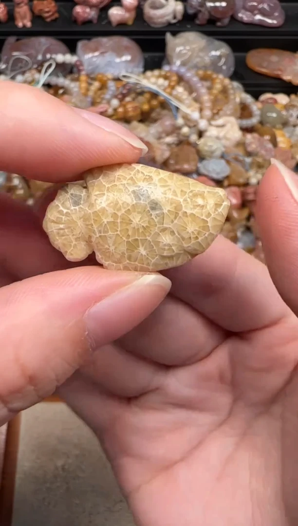 颈饰未镶嵌硅化珊瑚（珊瑚玉）095