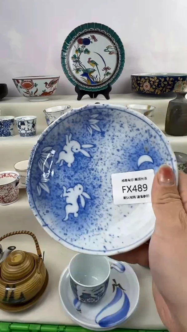 1FXFXFXFXFXFX489