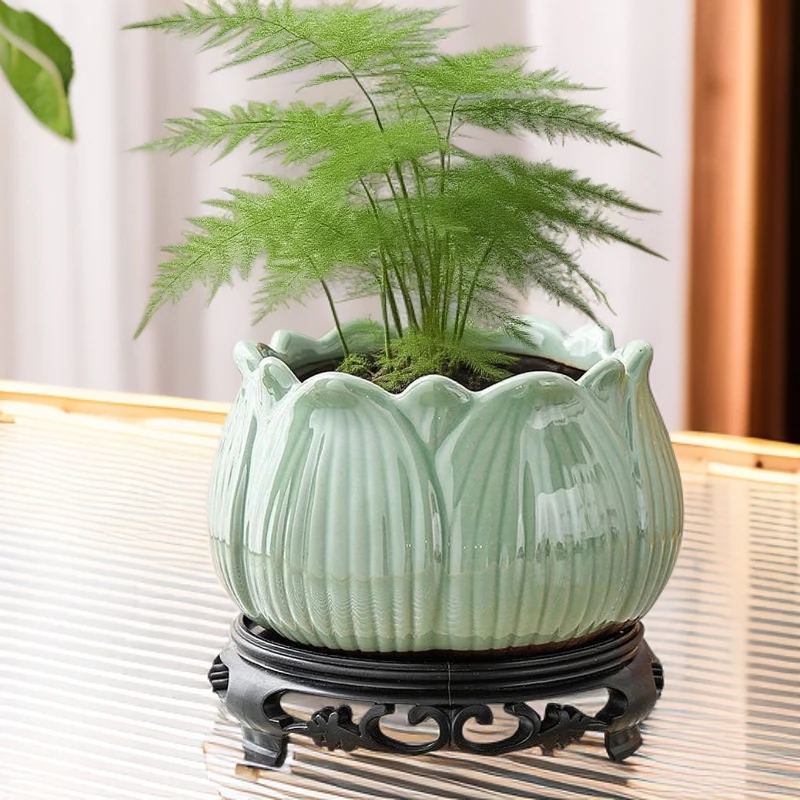 苔藓球花盆文竹无孔水样陶瓷创意家用紫砂中式禅意办公室摆件盆景