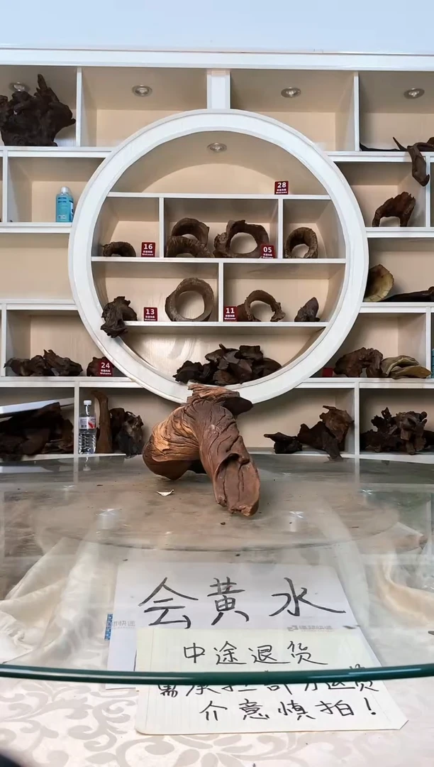a****糖鱼缸造景素材紫柚355