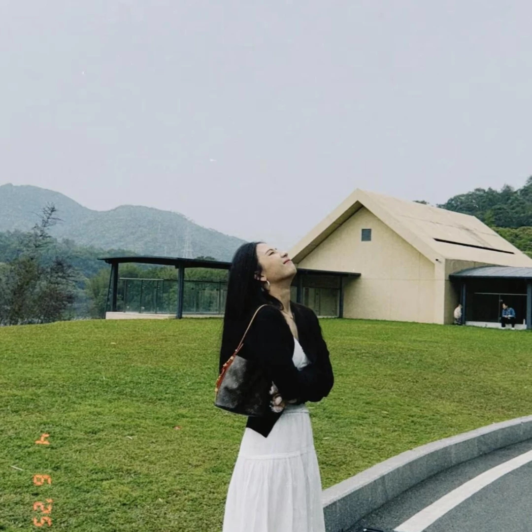 LV经典老花手提斜跨单肩配饰带可拆卸