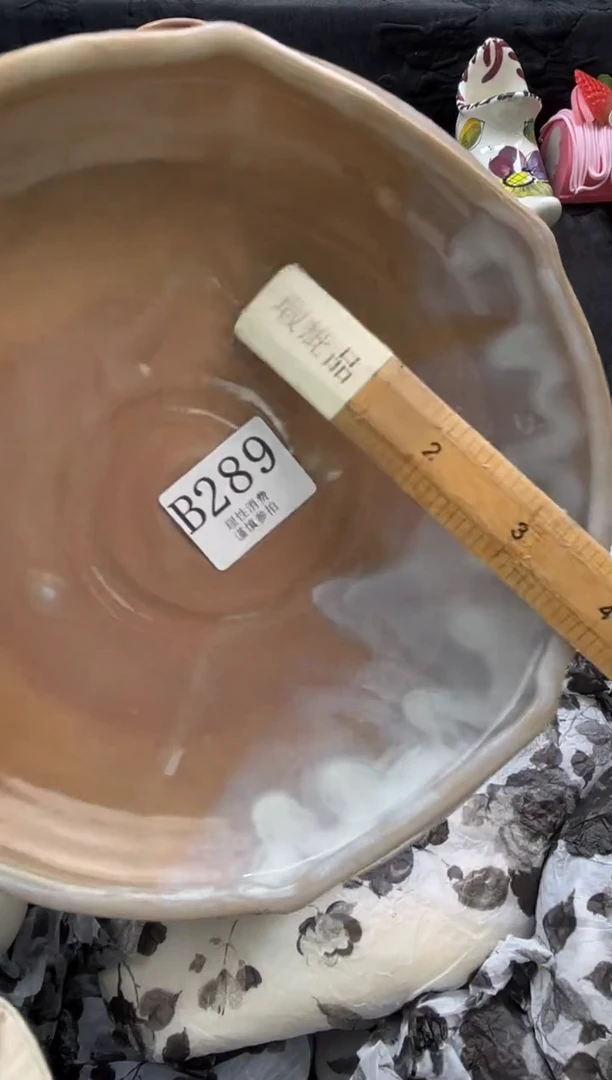 瓷片?****️       B289