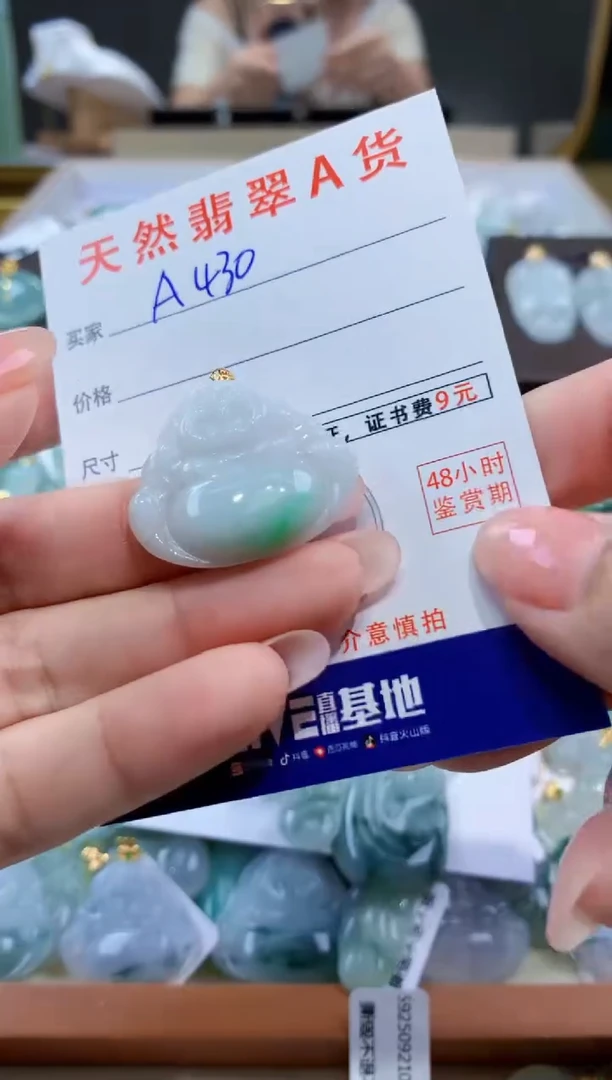 颈饰未镶嵌翡翠天然翡翠A货挂件