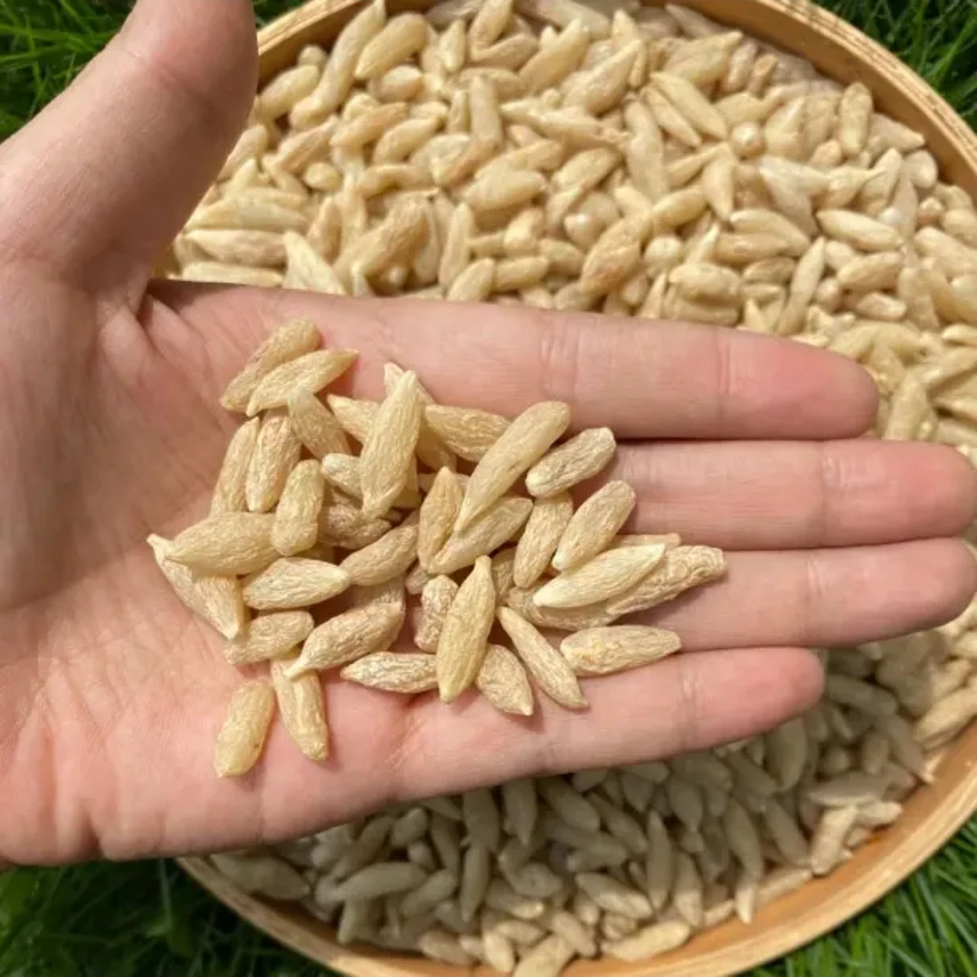 山货 麦 冬 250克农产品