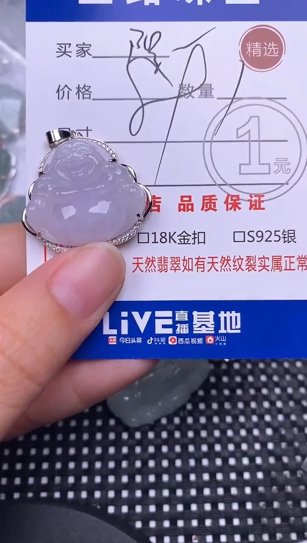 颈饰银S925镶嵌翡翠阳****房挂件