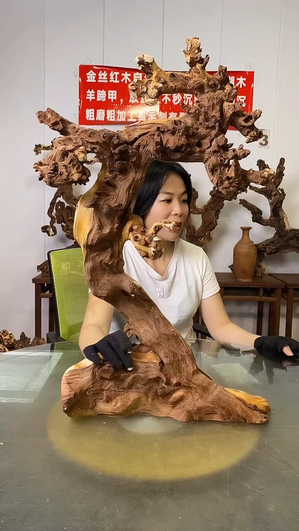 香榧木爱**树金丝红木 羊蹄甲