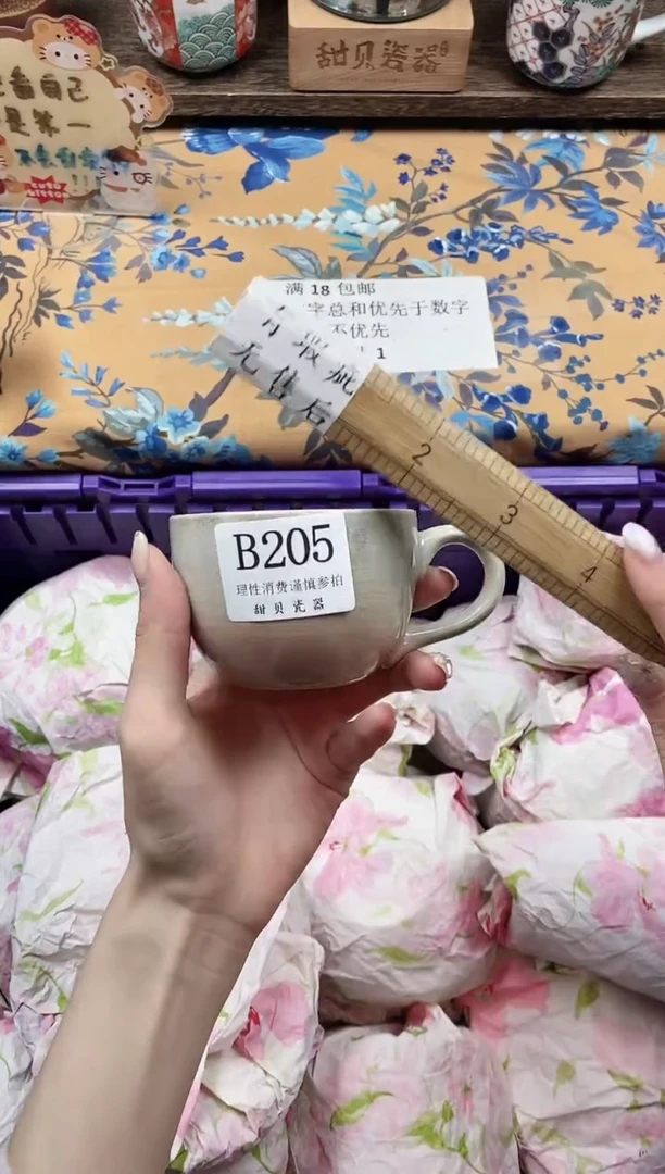 瓷片H****.                B205