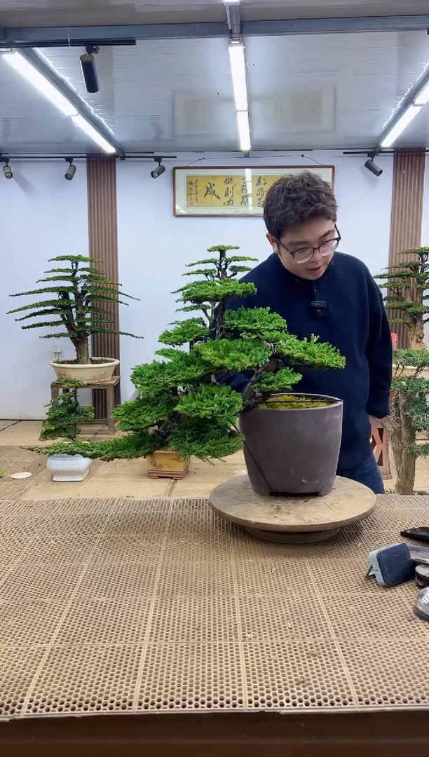 无花朵00000000000