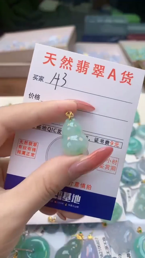 颈饰未镶嵌翡翠天然A货翡翠挂件