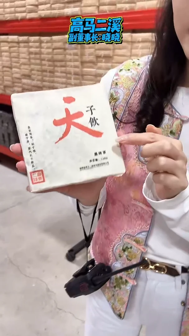 高马二溪  天生好原料黑砖茶  128克