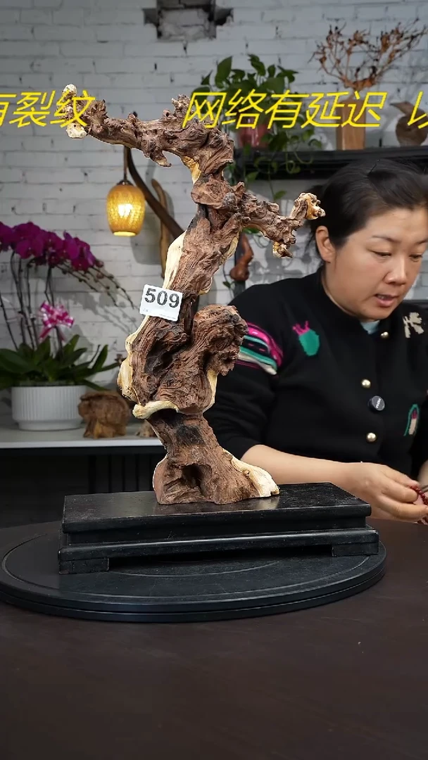 【闪购商品】木木艺云南根艺摆件