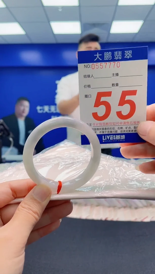 未镶嵌手镯翡翠AAAAAAAAA