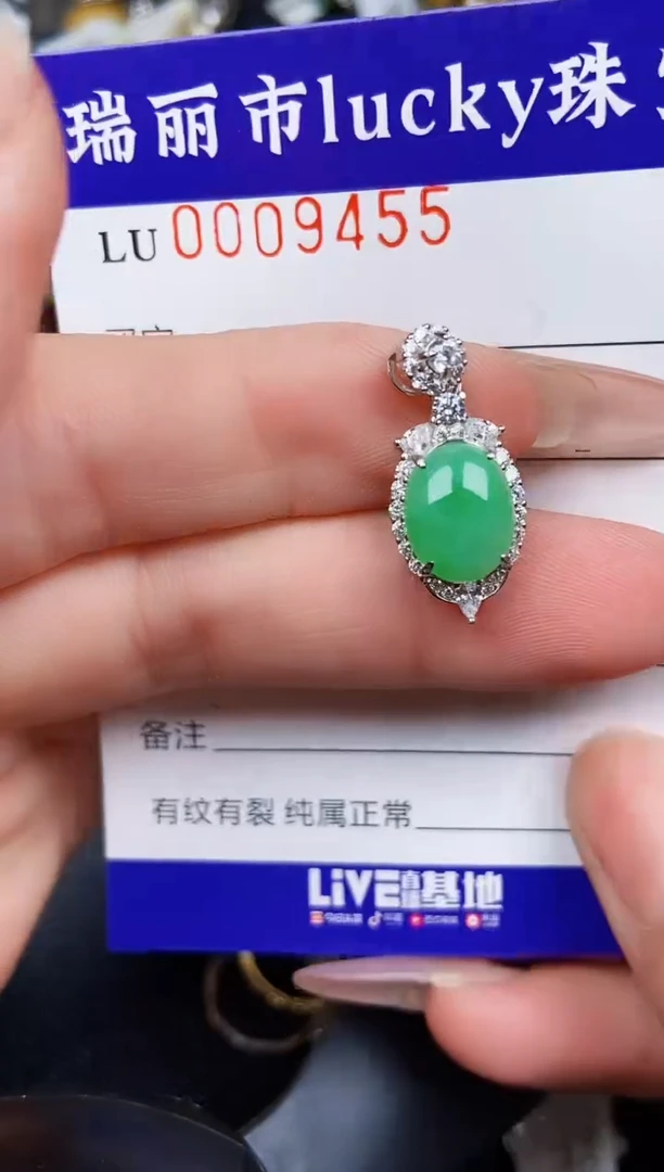 翡翠银S925镶嵌颈饰9455